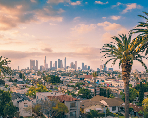 Los Angeles skyline at sunset with palm trees, California