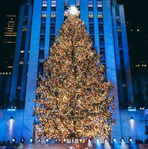 Large Christmas tree lit up in front of a blue-lit skyscraper at night
