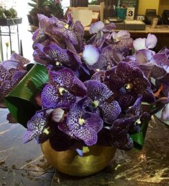 JEROME FLORISTS