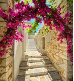 NAXOS PRIVE TOURS & TRANSFERS